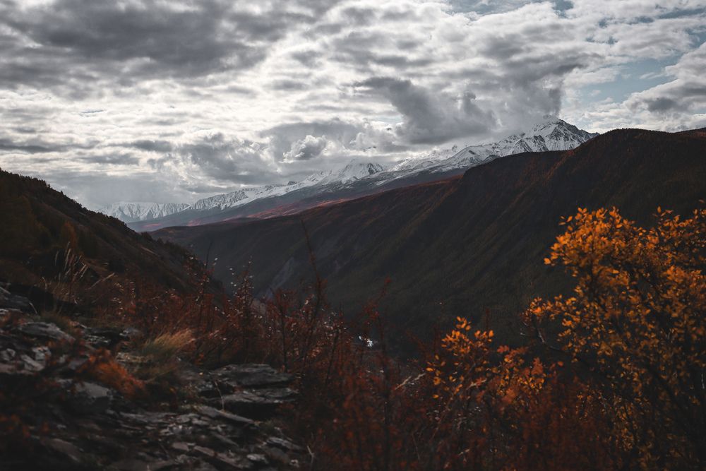 Photograph by Александра Петрова