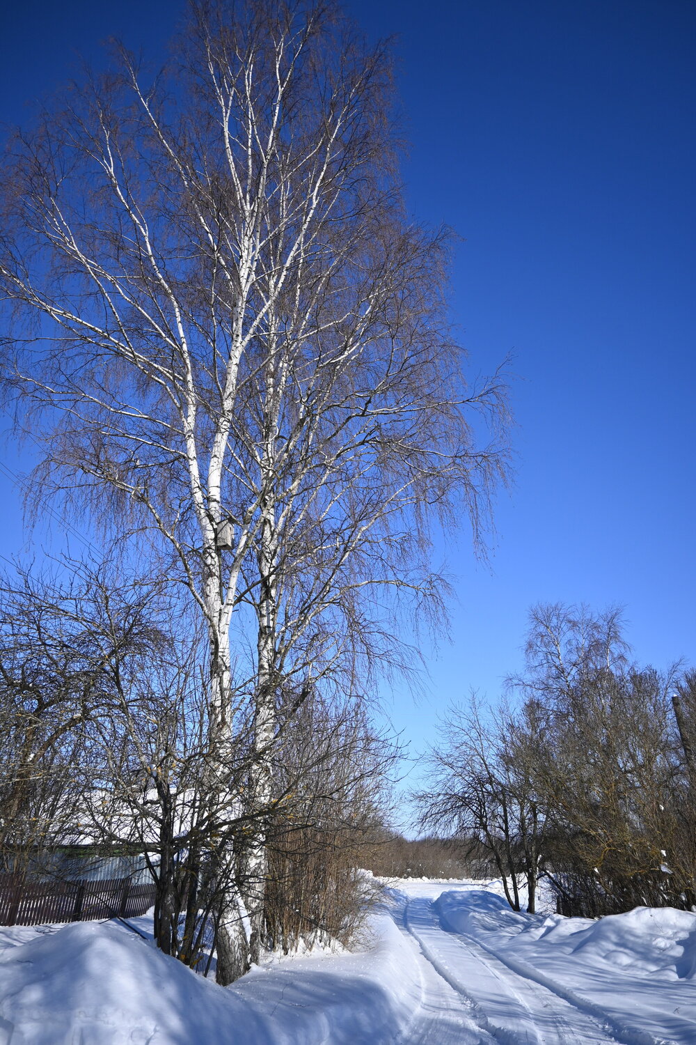 Photo #13338953