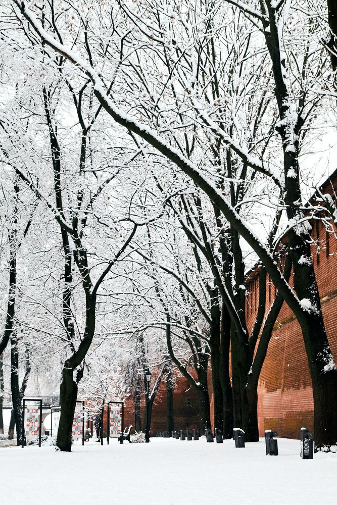 Photograph by Gareev Nikolay