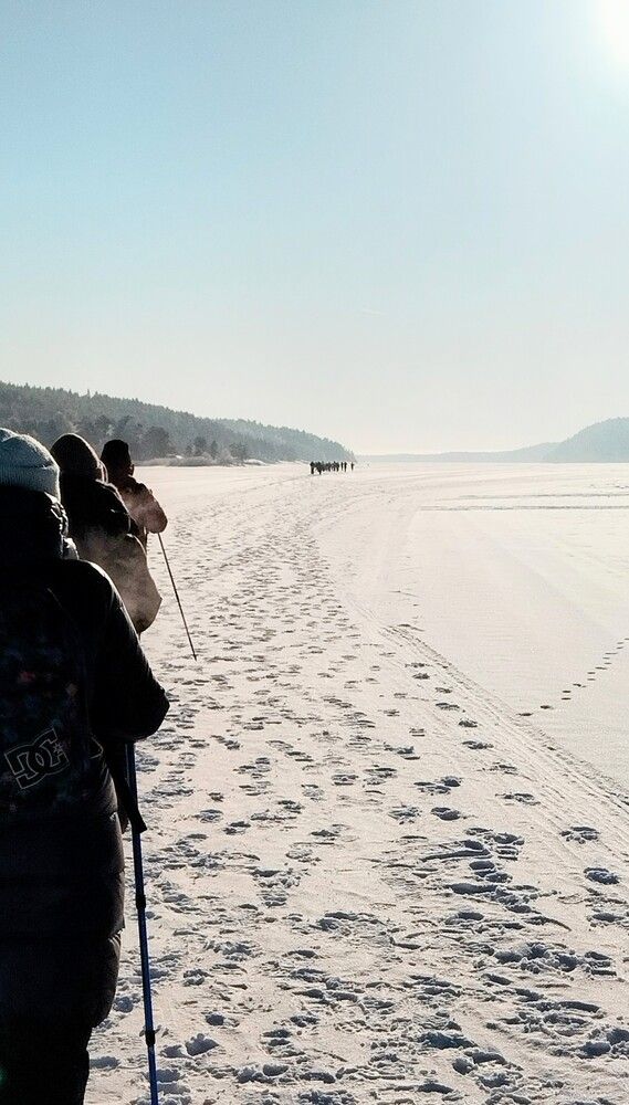 Photo #13338991
