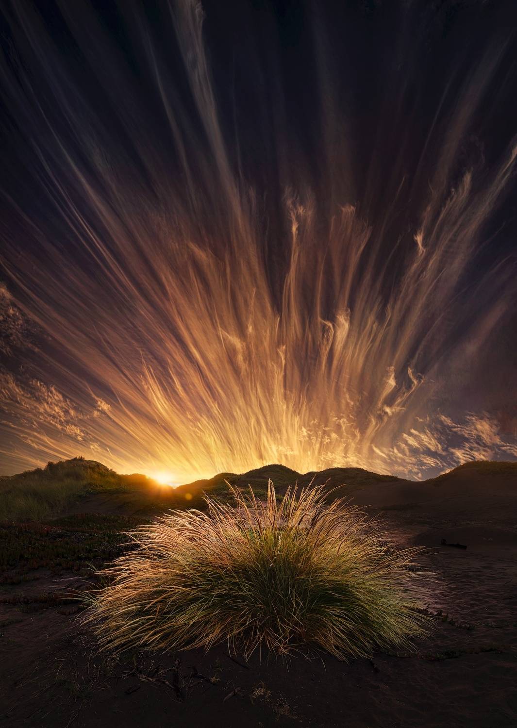 Фотография #13338992