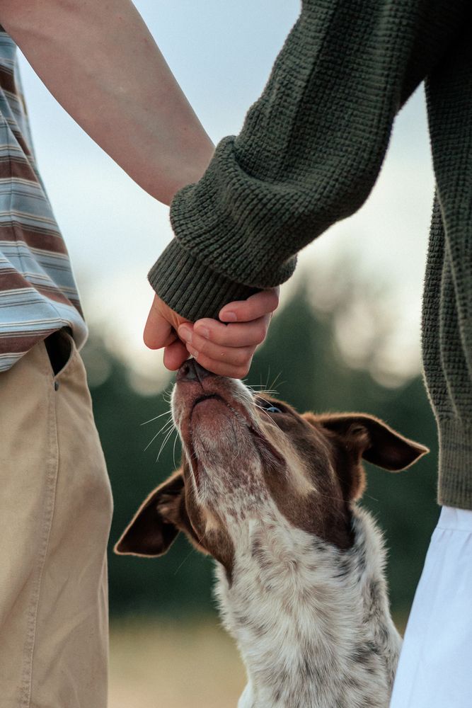 Photograph by Алёна Губинская