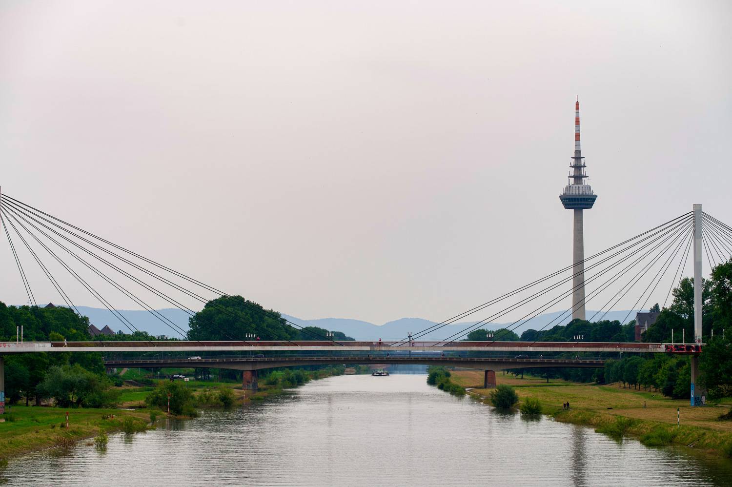 Фотография #13339142