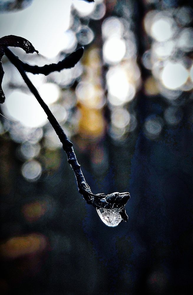 Хрустальный поцелуй