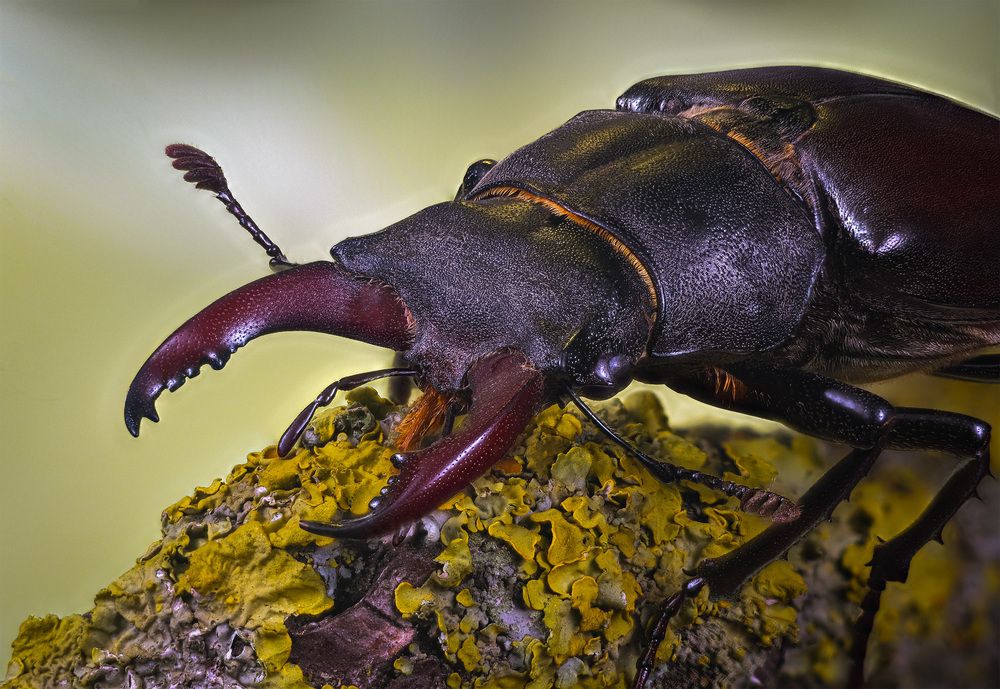 Photograph by Юрий Юрьевич Подгрушный