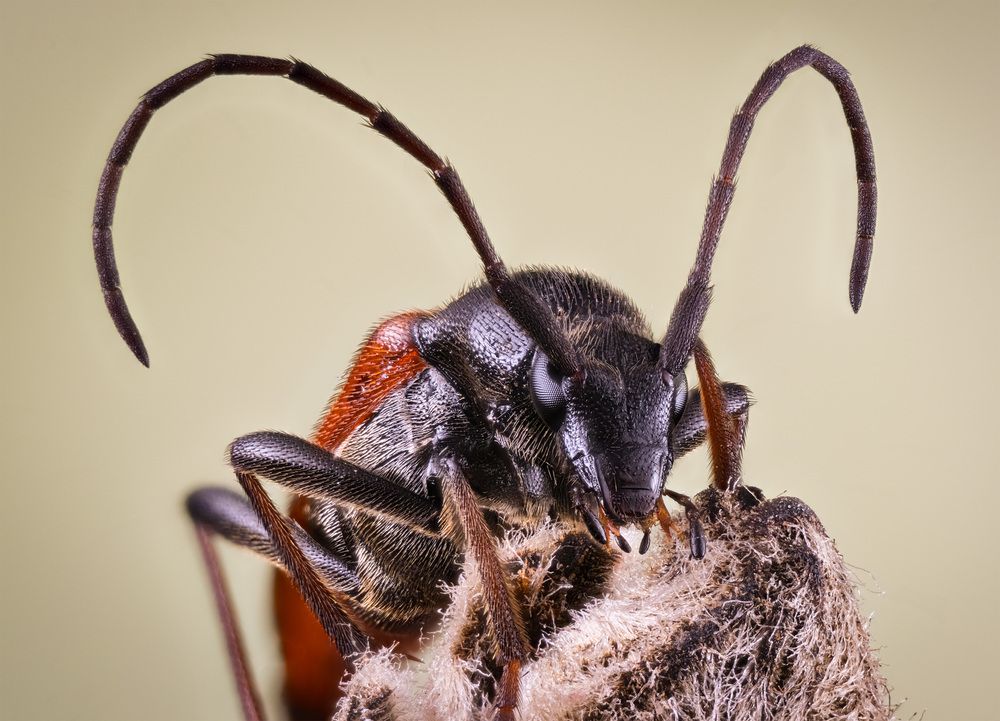 Photograph by Анастасия Подгрушная