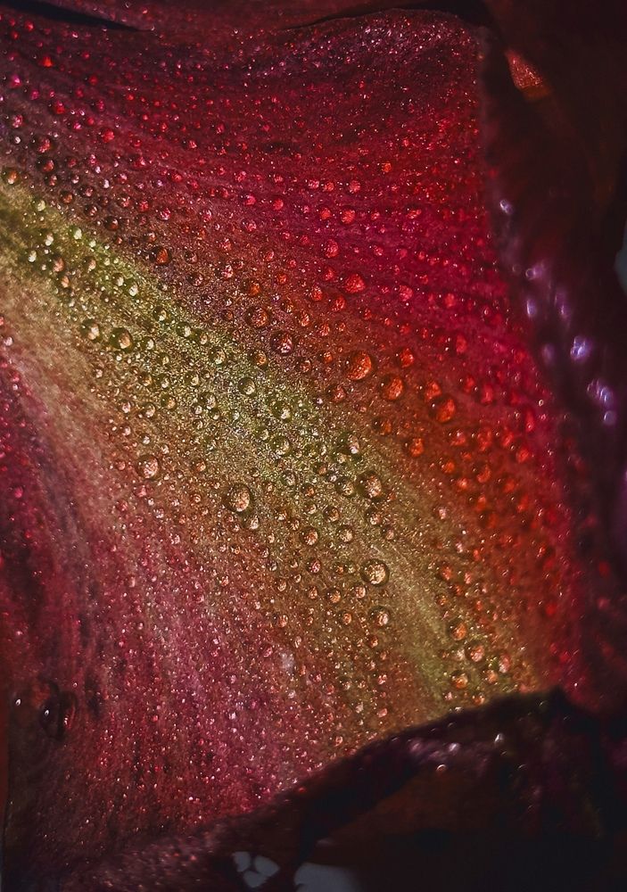 Фотография автора Бороздина Мария