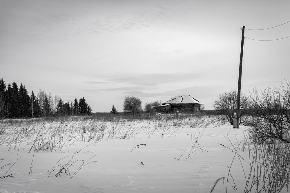 Photograph by Альварис Сукманюк