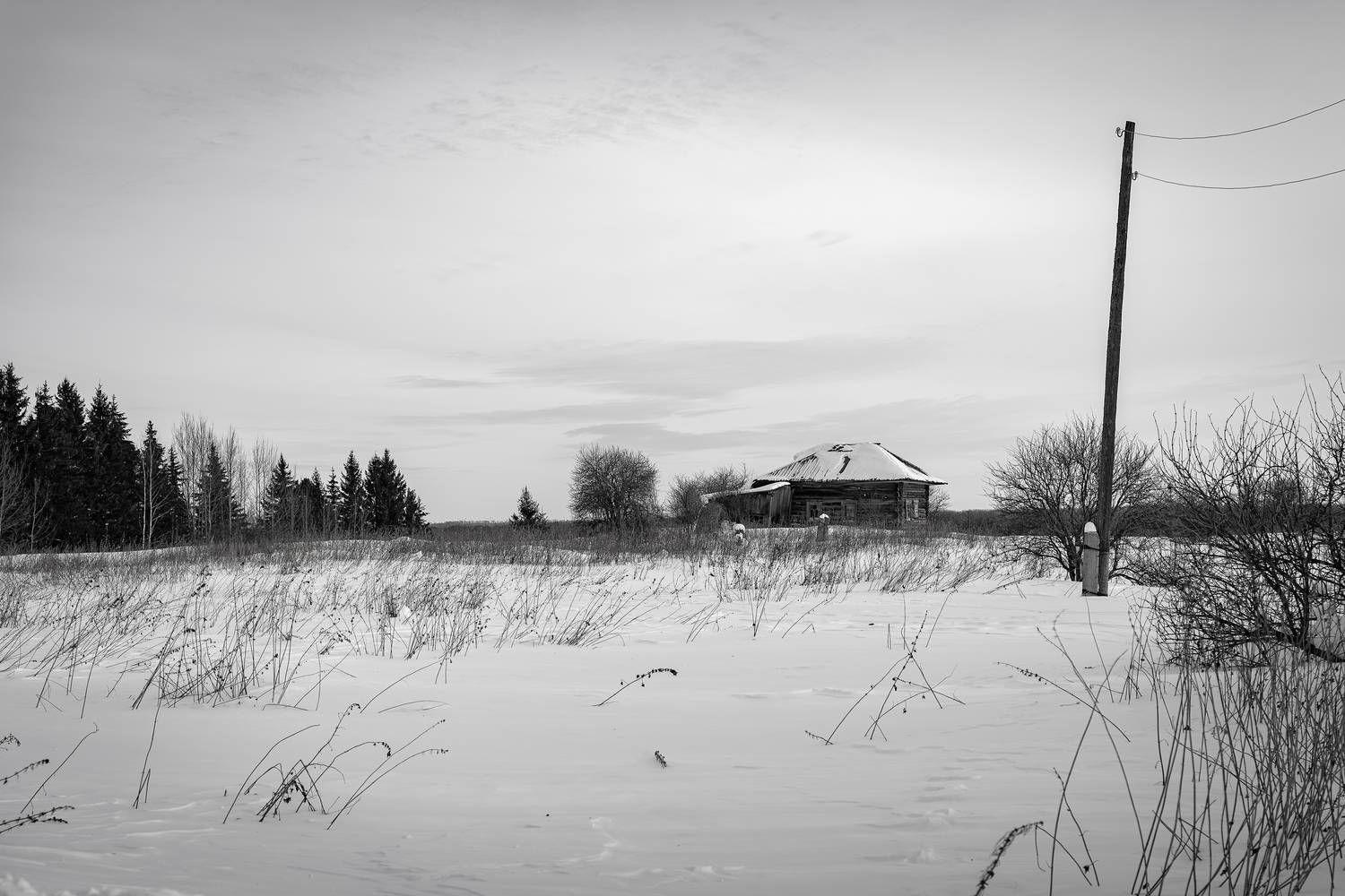 Фотография #13339279