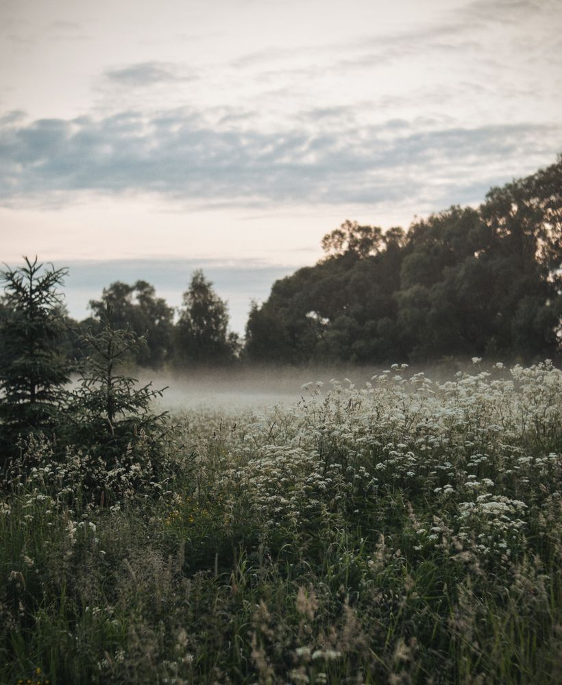 Photograph by Ольга