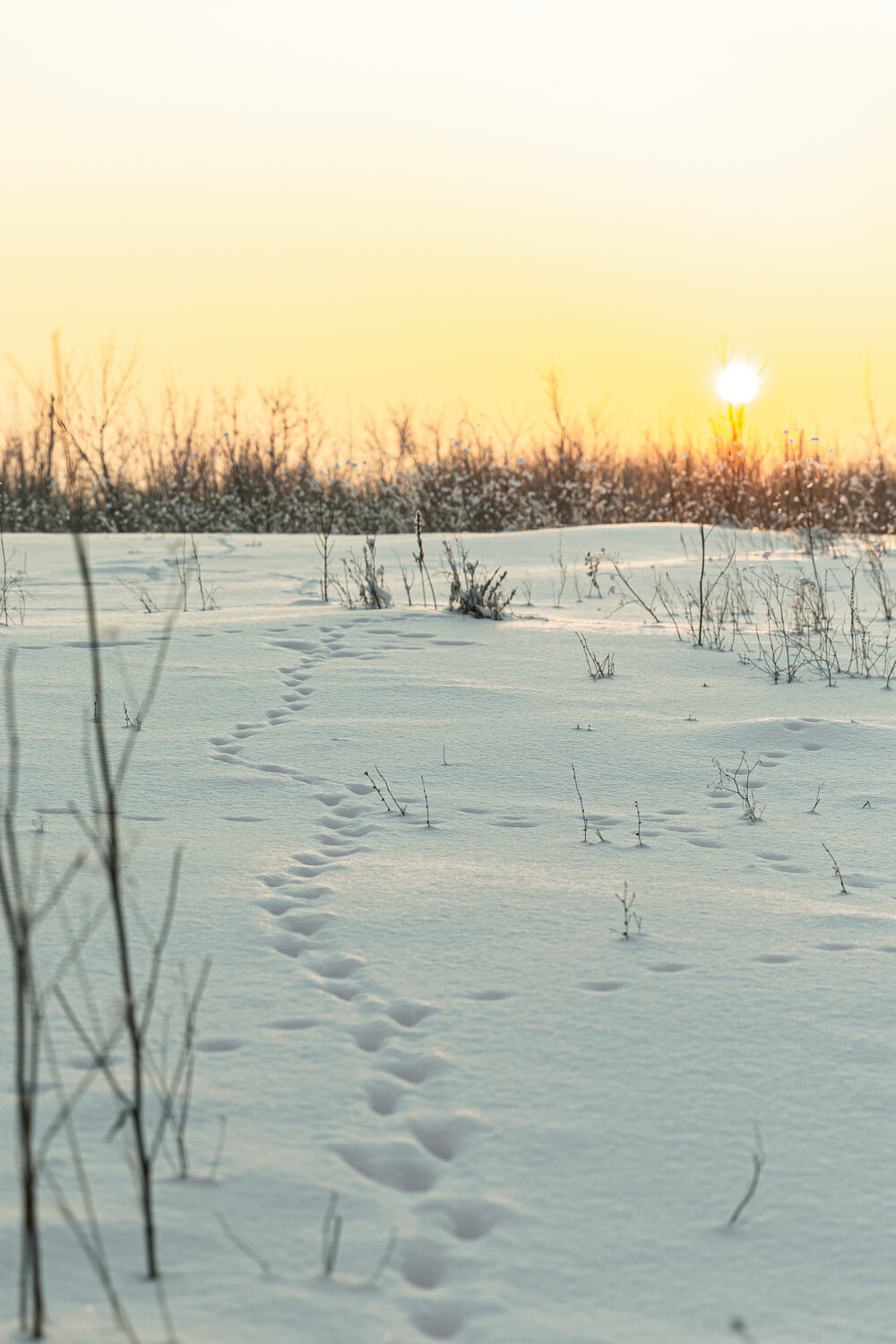 Photo #13339337