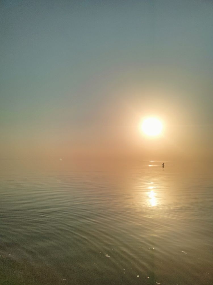 Photograph by Алла Ларина