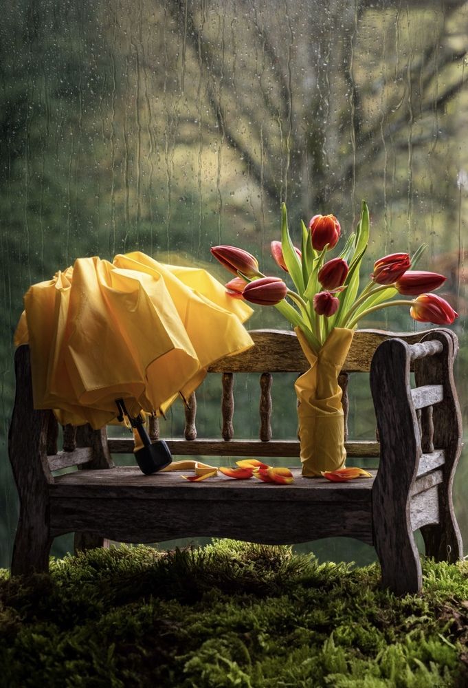 Photograph by Olga Schmidt
