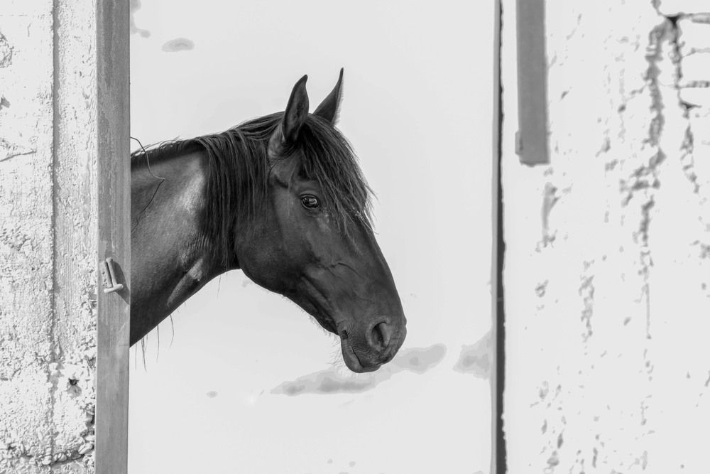 Photograph by Magov Marat