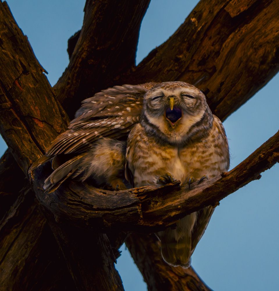Photograph by akash banerjee