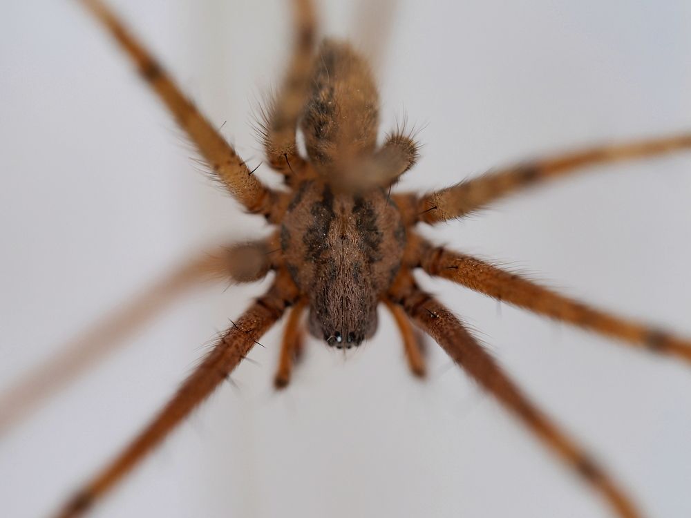 Photograph by Сергей Борисов