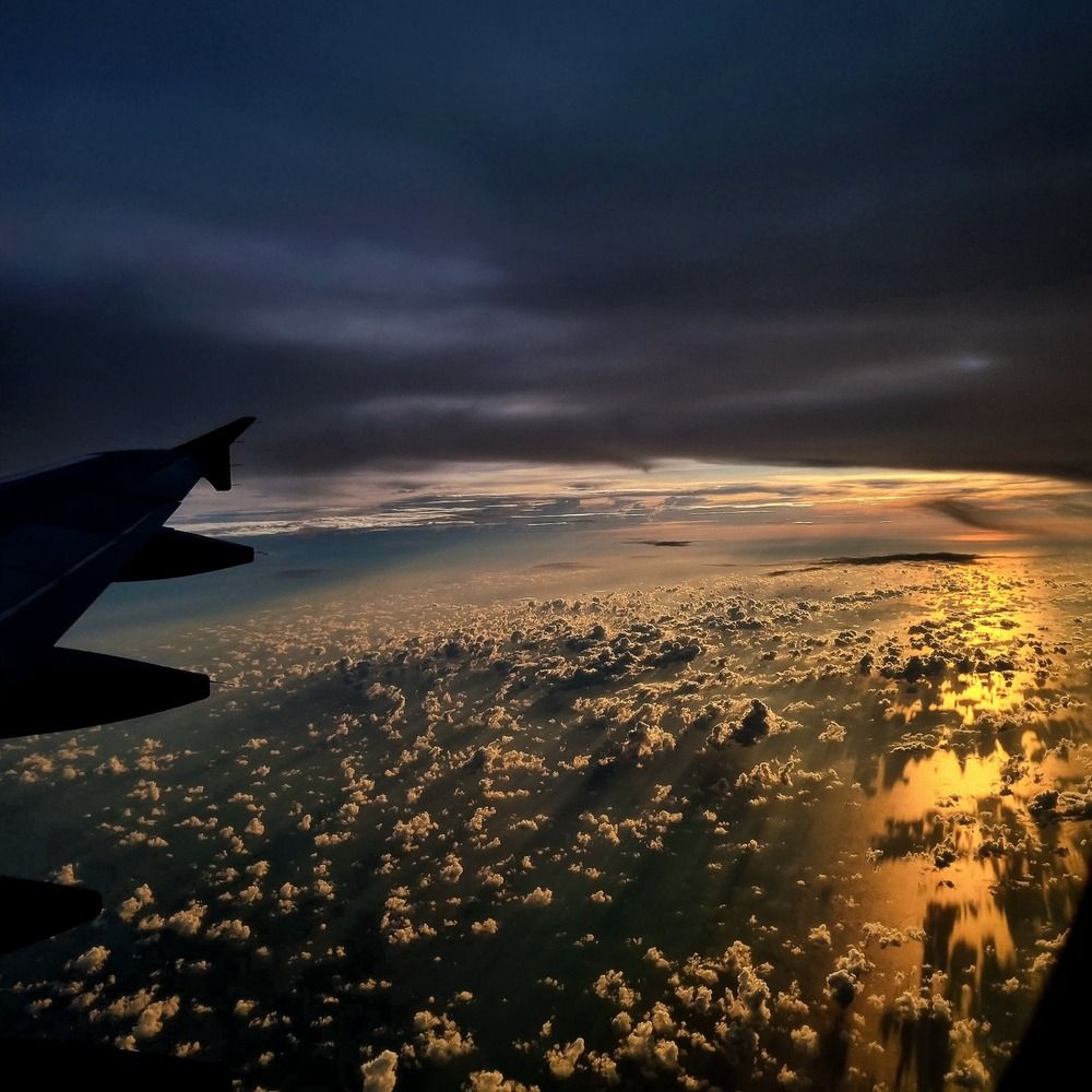 Photograph by Vidhi Khurana