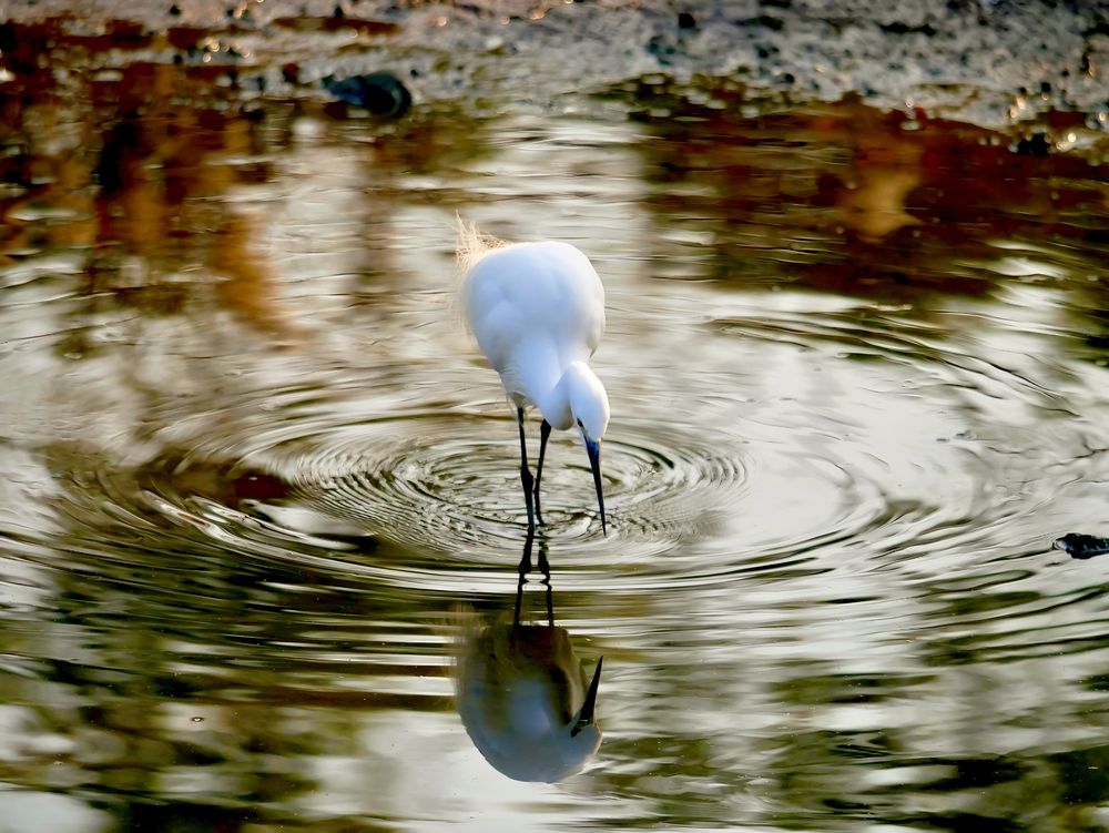 Photograph by Alex Li