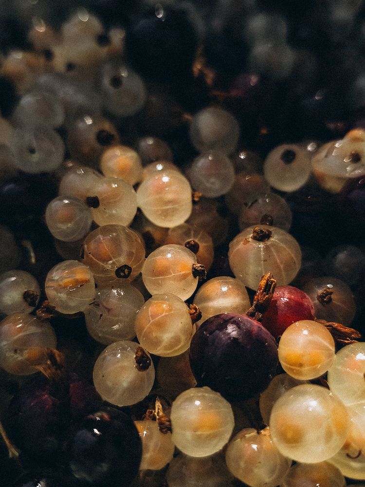 Photograph by Катрина Покумейко