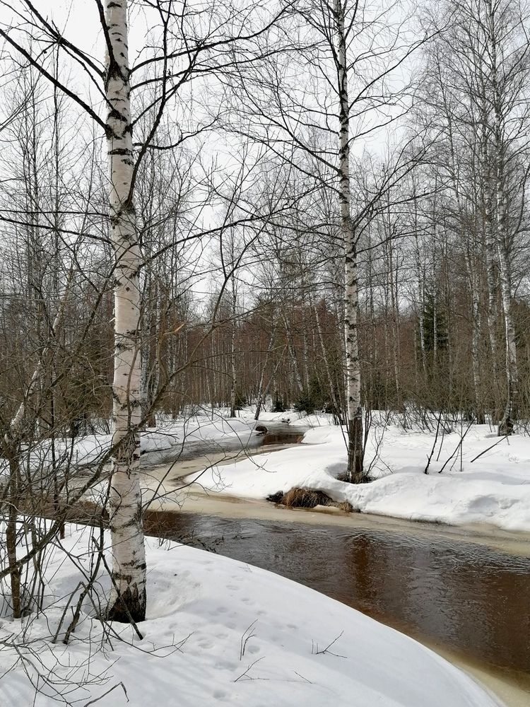 Весенняя река
