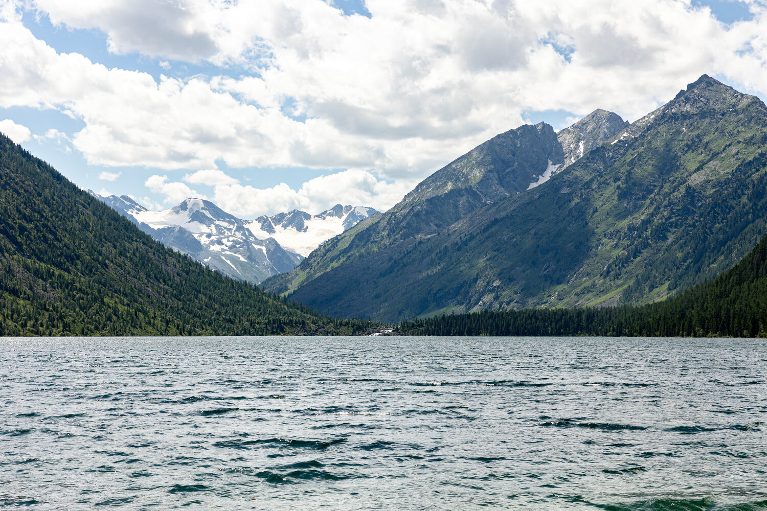 Photo #13339616