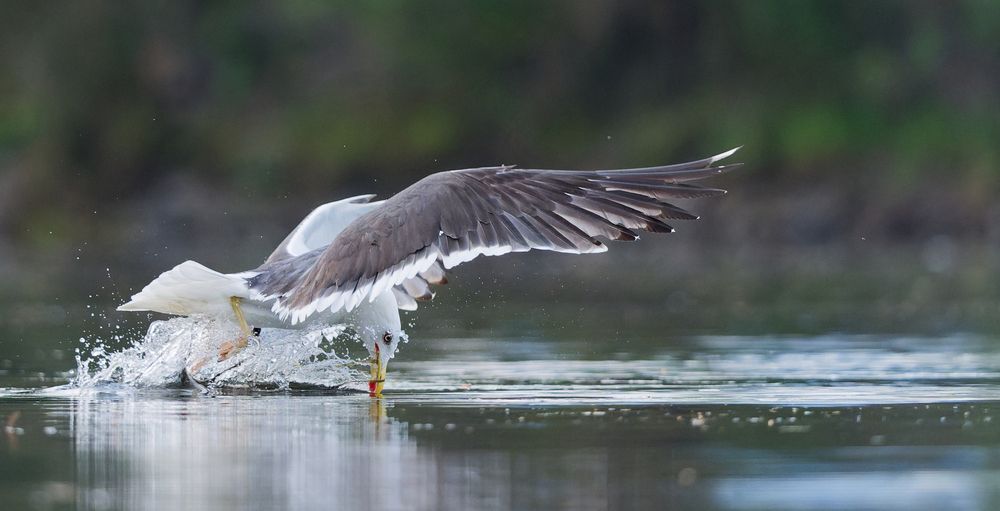 Photograph by Jørgen Hovde