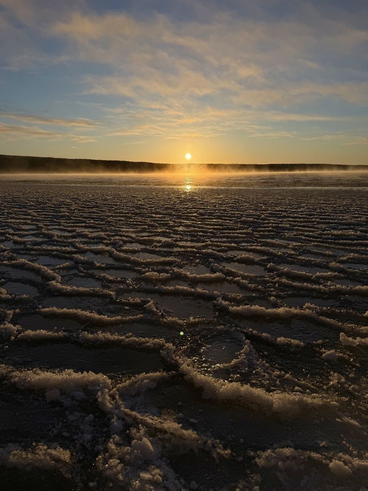 Узоры природы