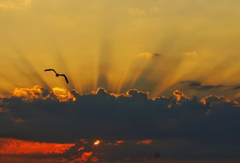 Photograph by Дмитрий Сорокин