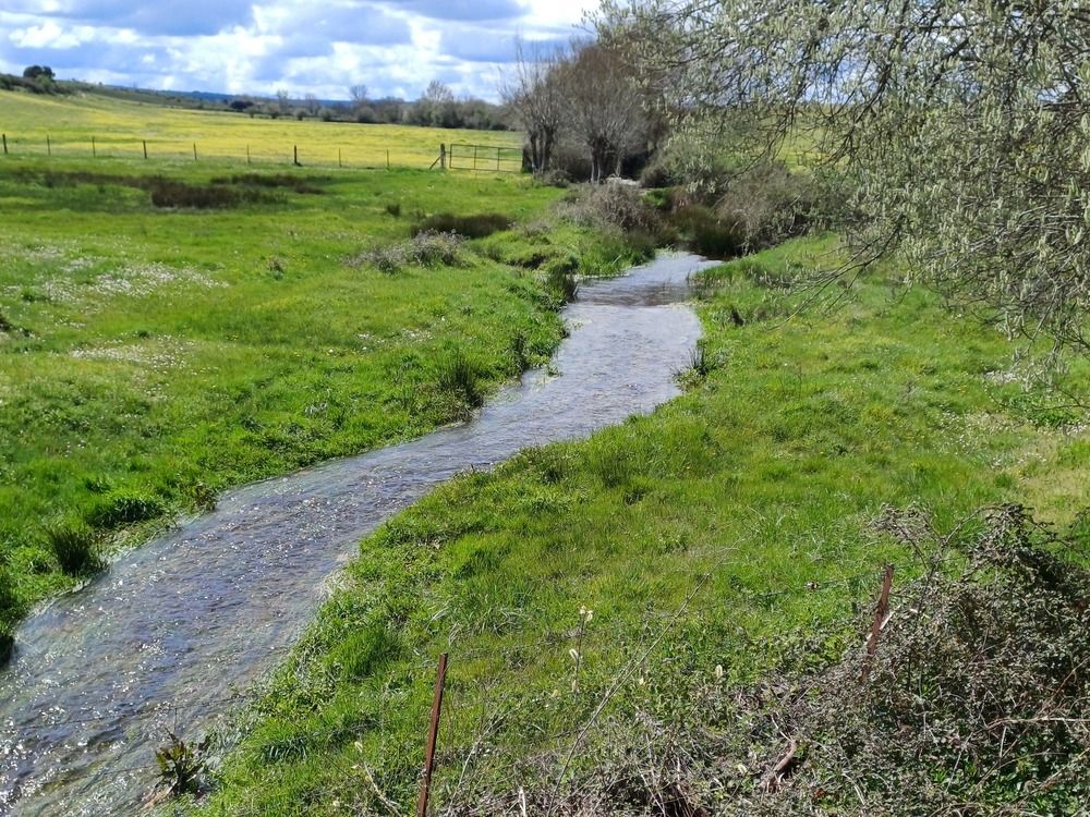 Photograph by Juan jose Sánchez gonzalez