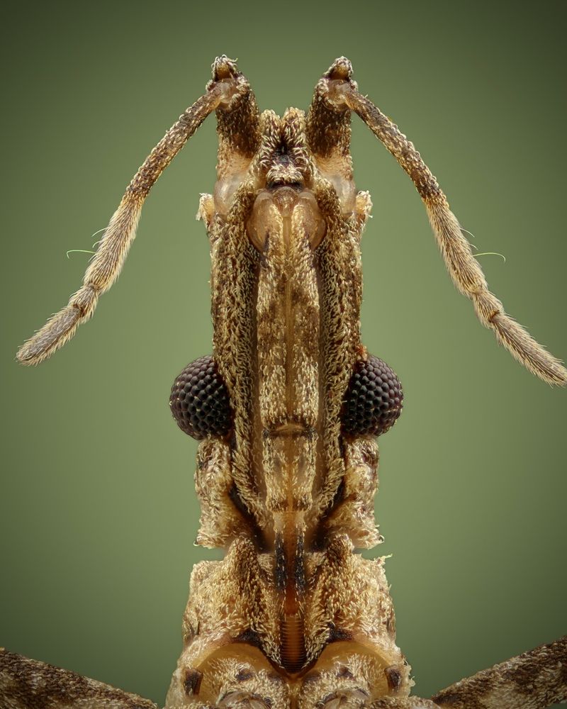 Photograph by Phát Huỳnh