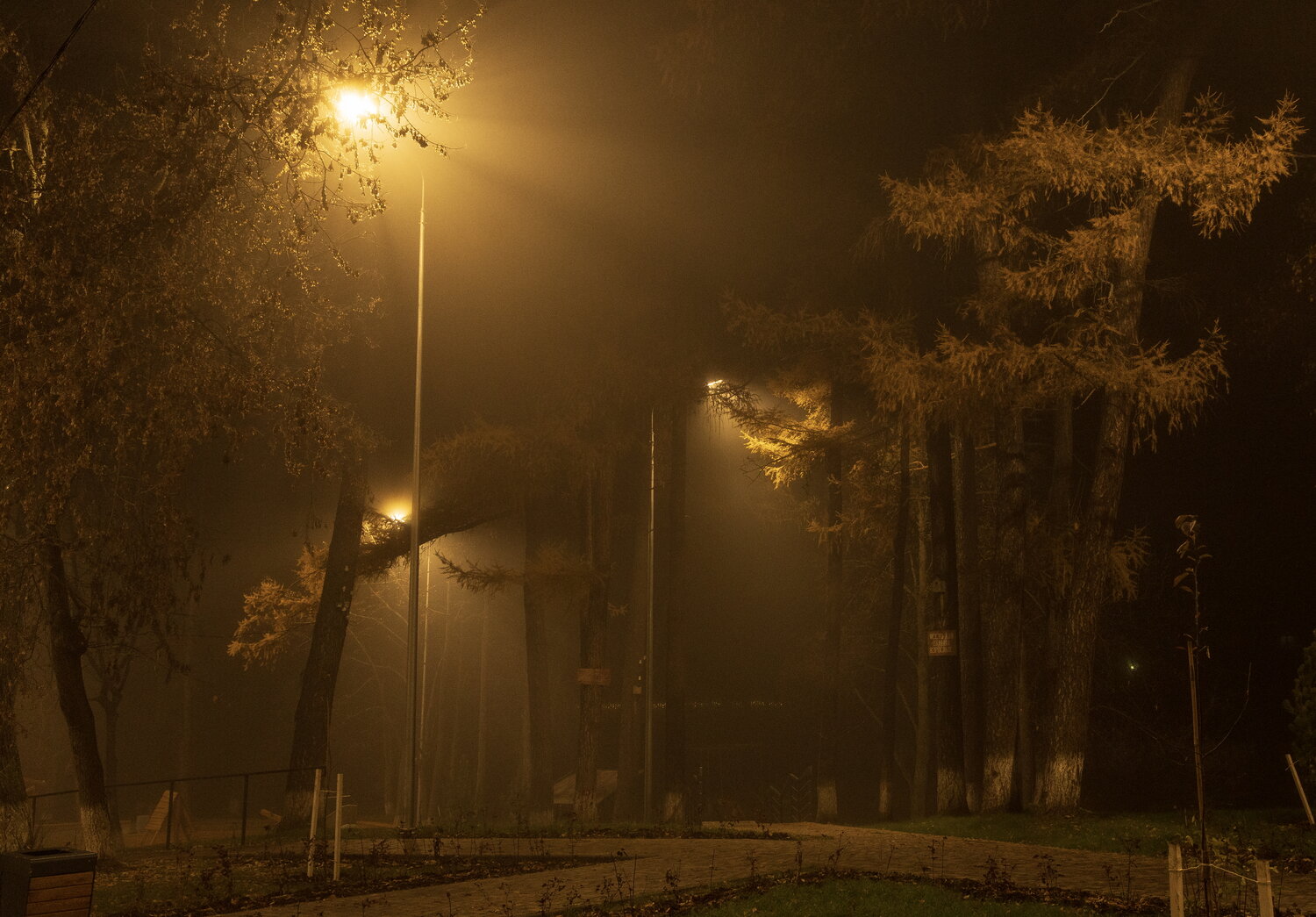 Photo #13339999
