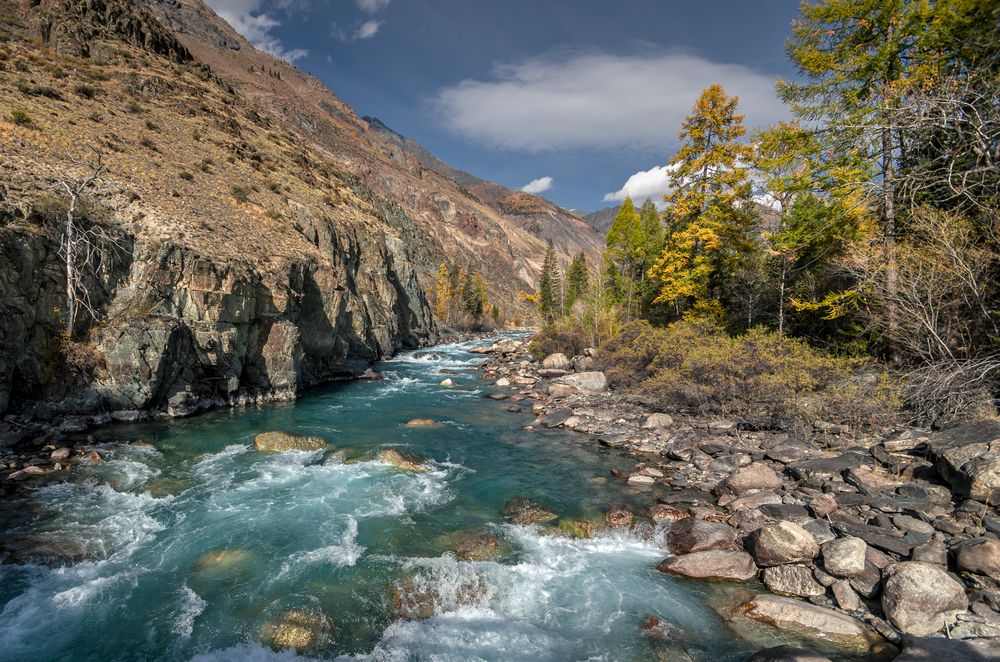 Photograph by Mark Devender