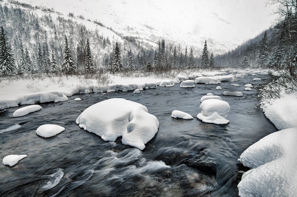 Photograph by Olga Akhmetova