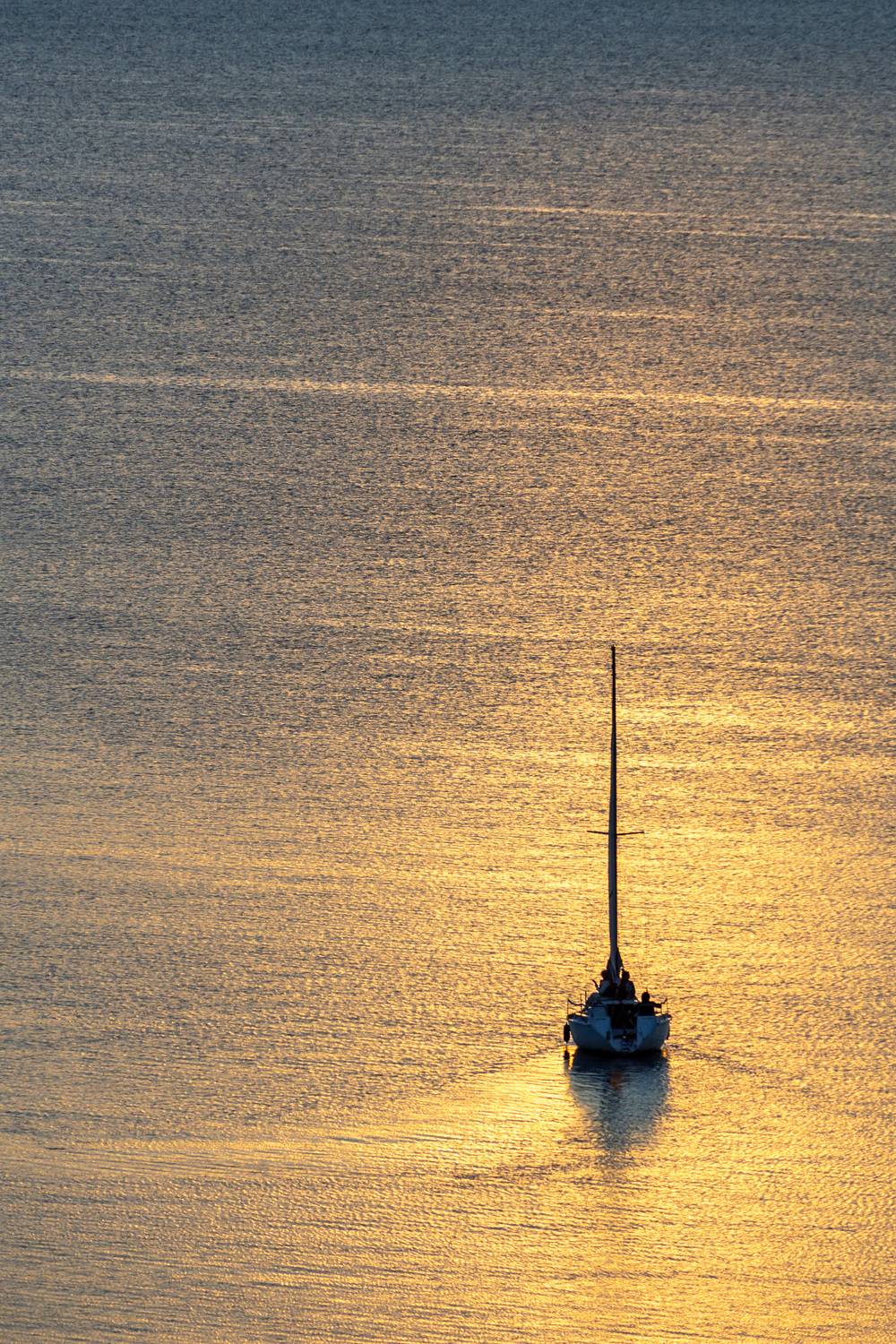 Фотография #13340161