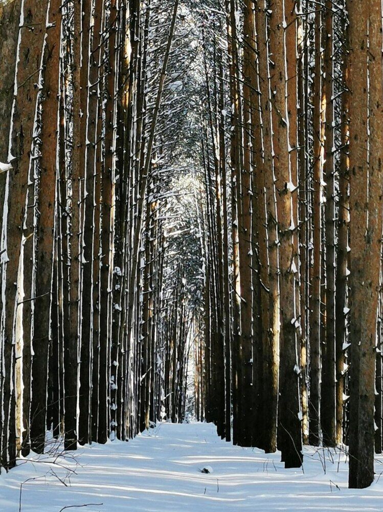 Photograph by Андрей Богданов