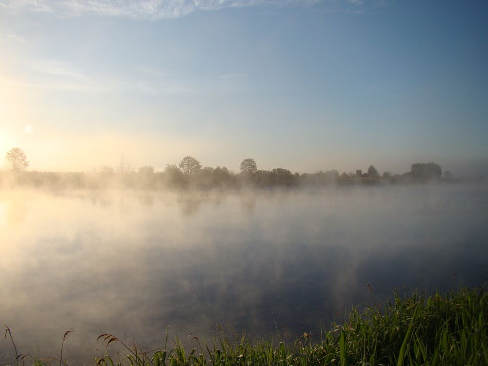Photograph by Николай Дмитриев