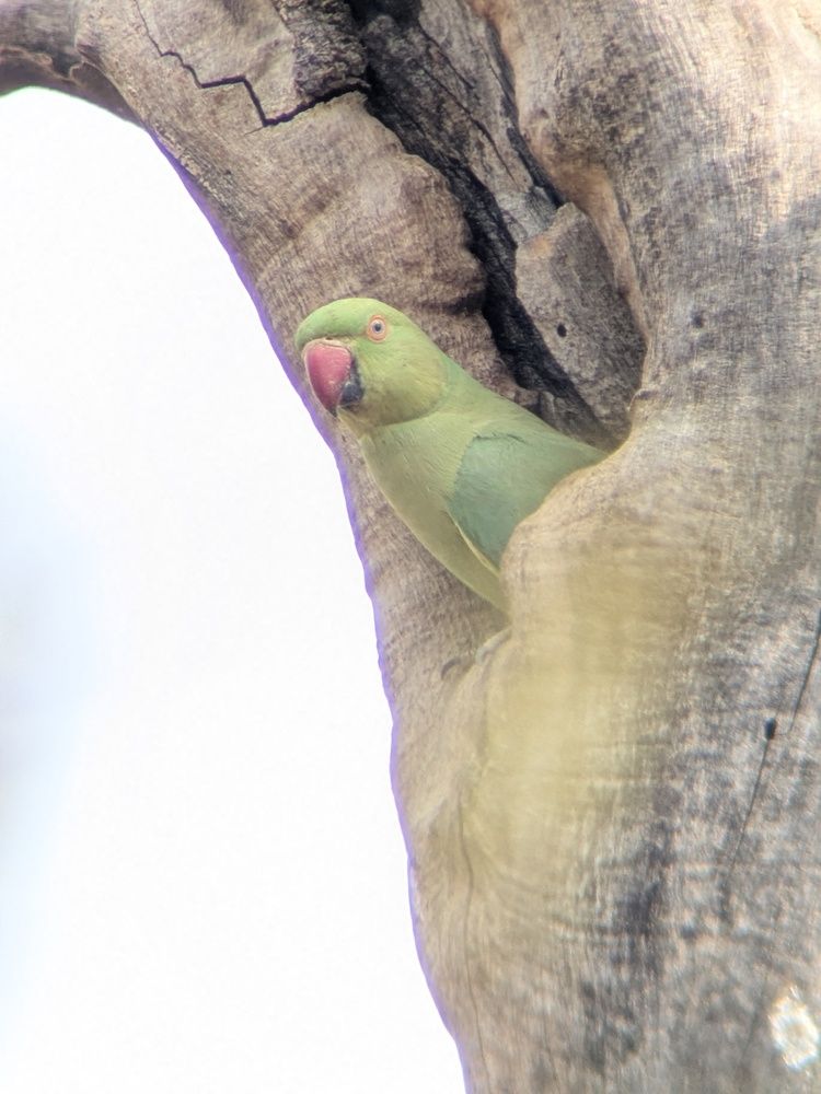 Photograph by Akash Rajurkar