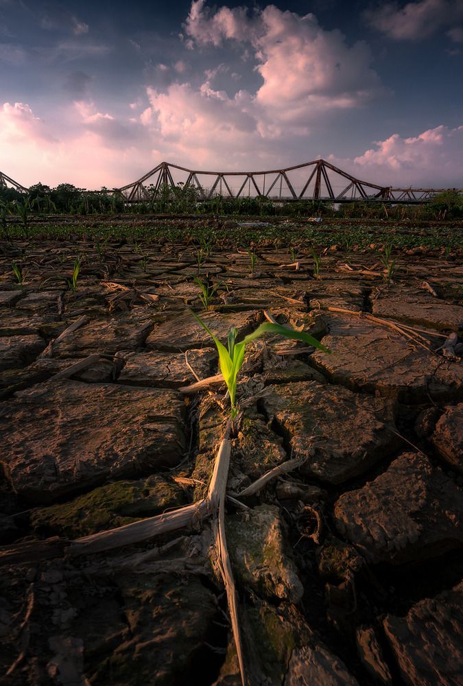 Фотография автора Dao Hoang