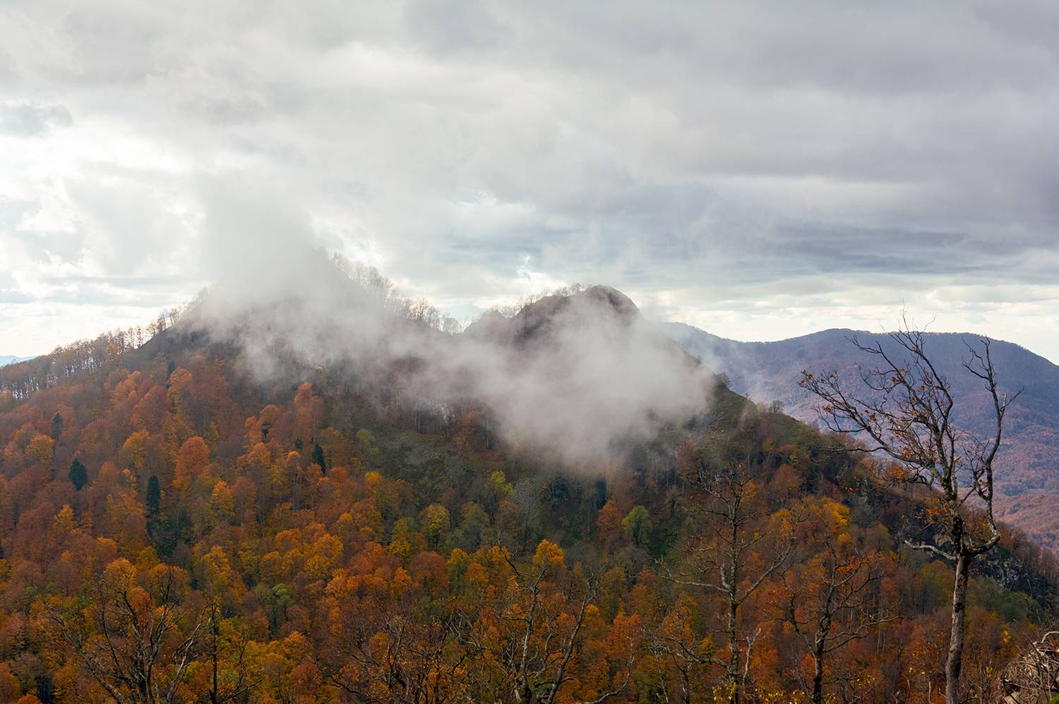 Photo #13340274