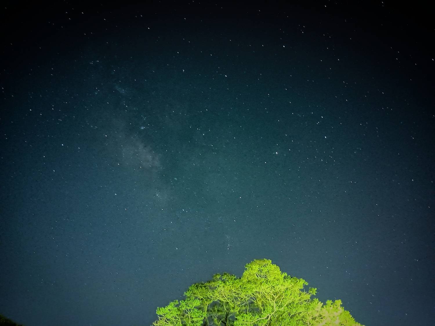 Photo #13340285