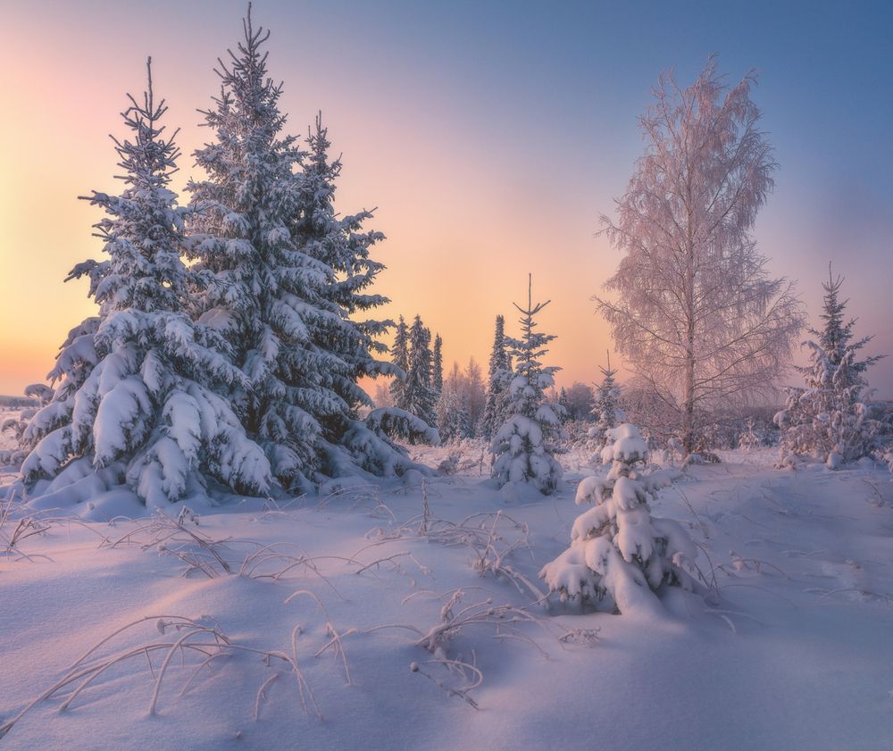 Photograph by Михаил Устюжанин