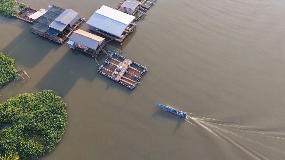 Nhịp sống trên dòng phù sa (Currents of Livelihood)