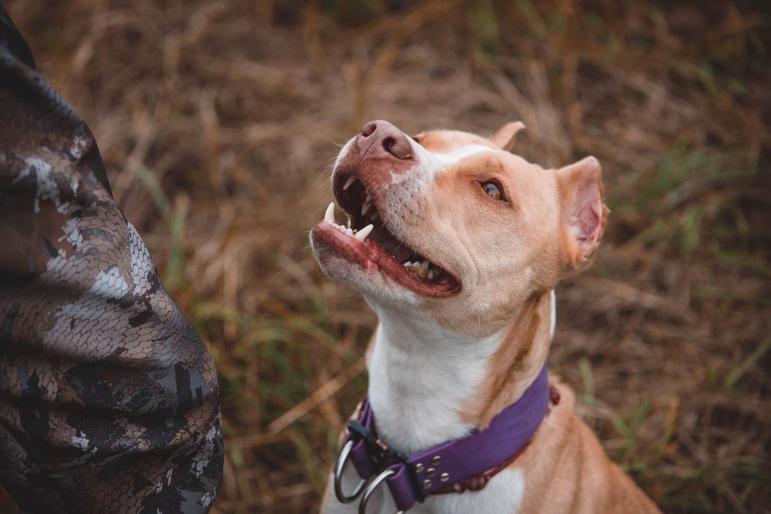 Photo #13340423