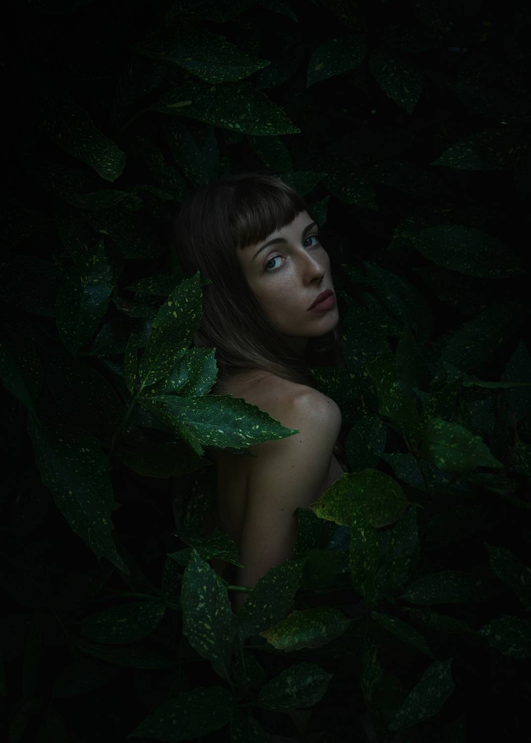 In the secret garden