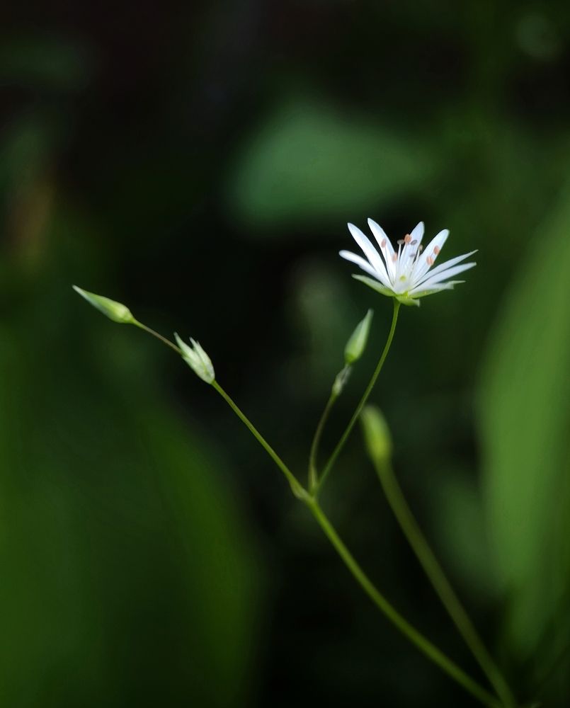 Photograph by Оксана Лоншакова