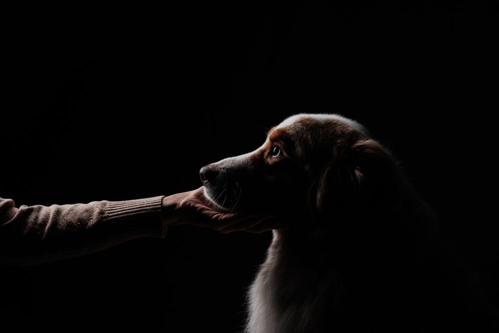 Photograph by Алёна Губинская