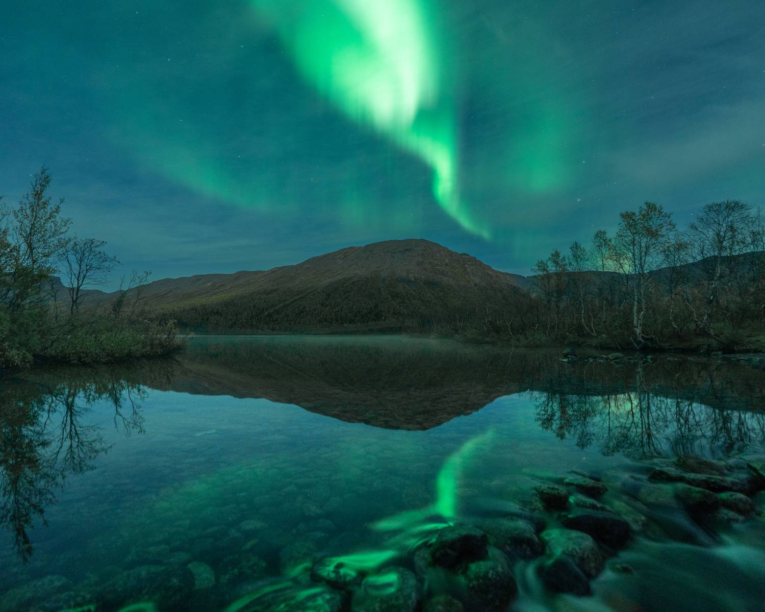 Фотография #13340512