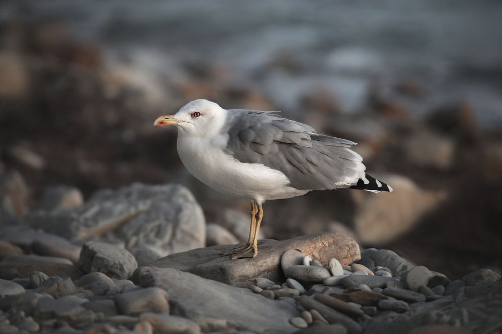 Photograph by Юлианна Митрофанова