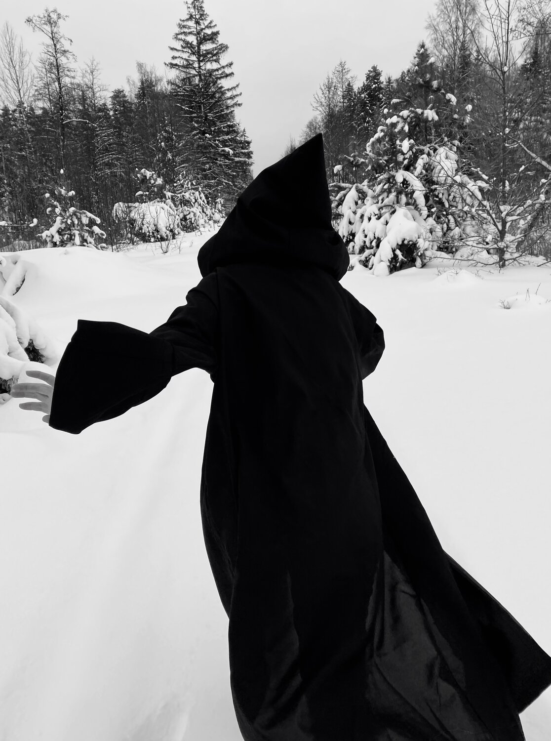 Photo #13340634