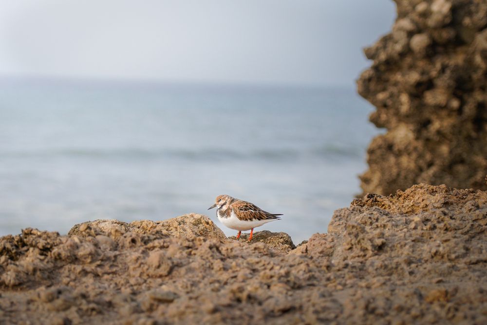 Photograph by Matilde Gouveia
